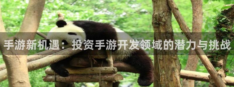 安信娱乐登入地址