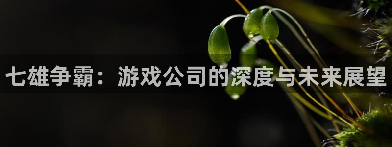 安信2娱乐