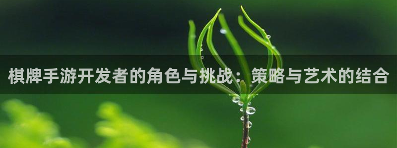 安信13娱乐官网入口