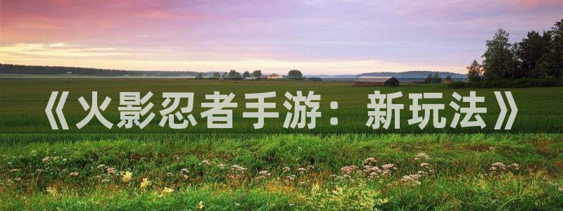 安信13娱乐官网入口：《火影忍者手游：新玩法》
