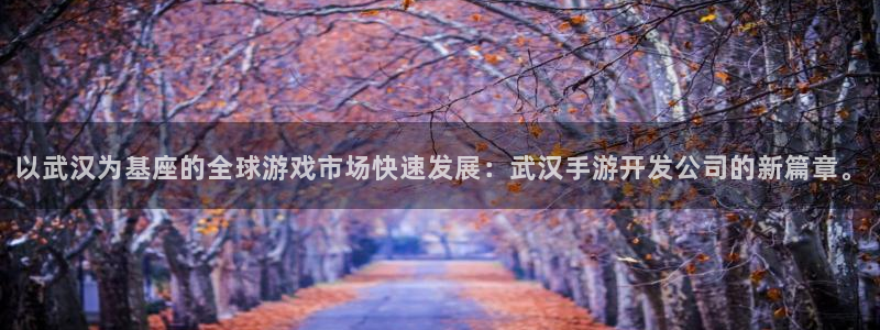 安信14娱乐注册：以武汉为基座的全球游戏市场快速发展：武汉手