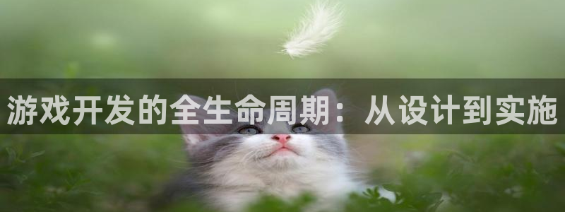 安信娱乐宝应网：游戏开发的全生命周期：从设计到实施