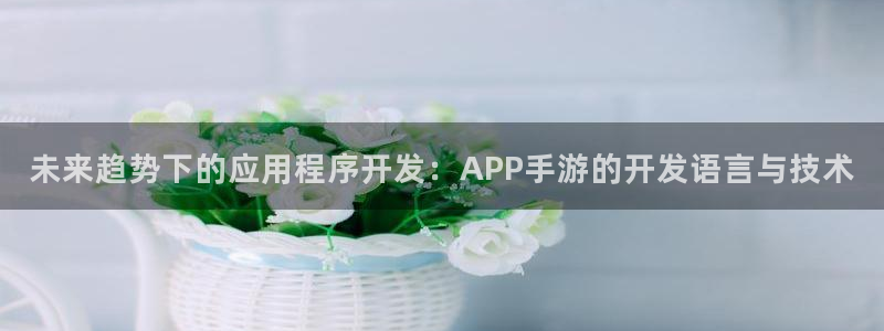 安信娱乐宝应网：未来趋势下的应用程序开发：APP手游的开发语