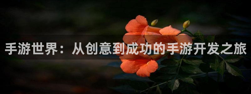 安信13娱乐注册：手游世界：从创意到成功的手游开发之旅