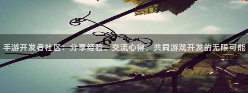 安信娱乐宝应网：手游开发者社区：分享经验、交流心得，共同游戏