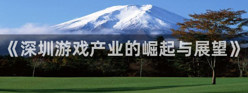 安信娱乐被国家认可吗：《深圳游戏产业的崛起与展望》