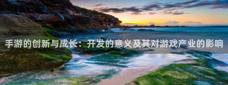 安信娱乐被国家认可吗：手游的创新与成长：开发的意义及其对游戏