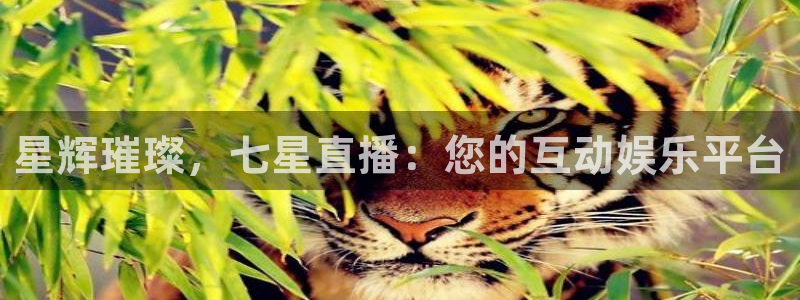 柠檬体育直播网是哪个
